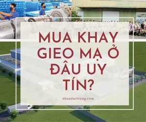 Mua khay gieo mạ ở đâu uy tín