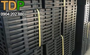 Xưởng sản xuất, phân phối Khay gieo mạ cấy 300x600mm (30x60cm) tại Bình Dương