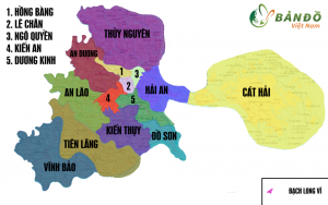 Địa chỉ công ty sản xuất, phân phối Khay gieo mạ cấy giá rẻ bền đẹp tại Hải Phòng
