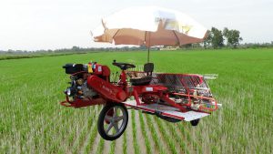 Báo giá Khay gieo mạ cấy giá rẻ bền đẹp ứng dụng cho máy cấy lúa Hamco