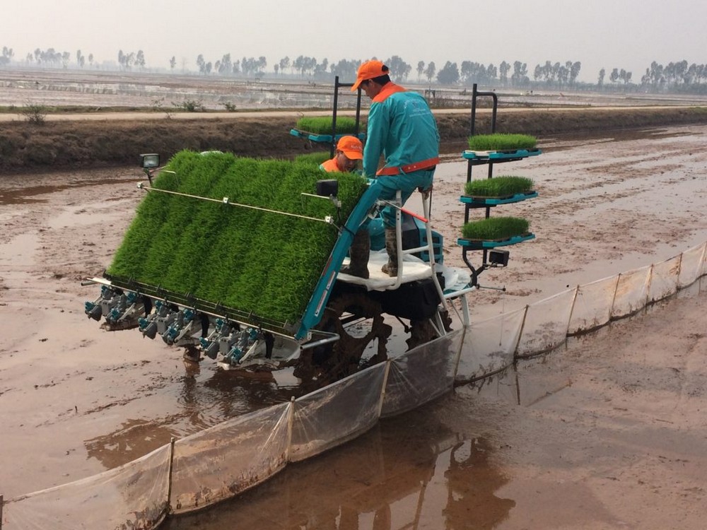 Mẫu Khay gieo mạ cấy giá rẻ bền đẹp thích hợp với máy cấy mạ khay