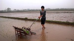 Bán buôn, bán lẻ Khay gieo mạ cấy sử dụng cho máy cấy lúa mạ sân cầm tay không động cơ