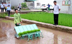 Kích thước Khay gieo mạ cấy giá rẻ bền đẹp sử dụng cho máy cấy lúa mini tự động - MCL6H