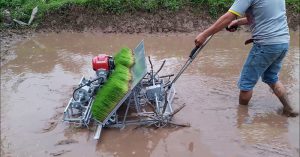 Bán buôn, bán lẻ Khay gieo mạ cấy giá rẻ bền đẹp dùng cho máy cấy Văn Lang 4 hàng