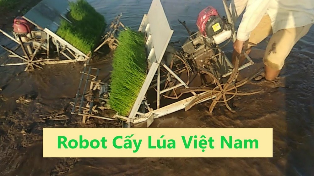 Máy cấy lúa 4 hàng tay cấy Robot SLRT-455 Mẫu Khay gieo mạ cấy giá rẻ bền đẹp ứng dụng cho máy cấy lúa 4 hàng tay cấy Robot SLRT-455