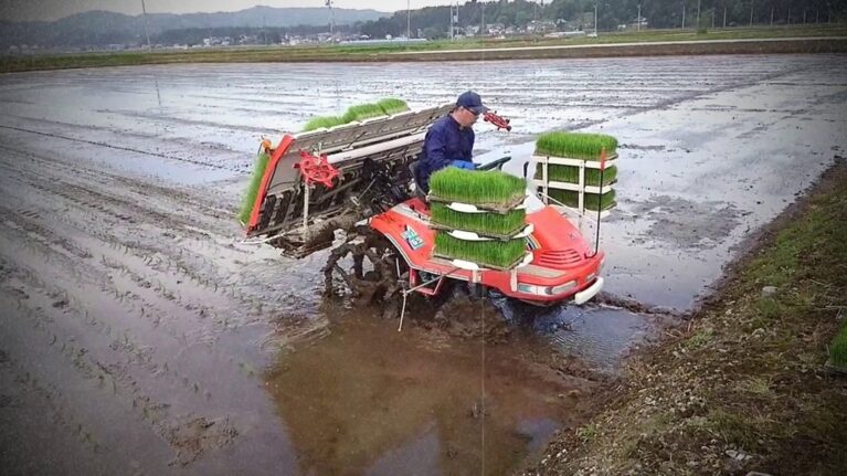 Máy cấy lúa Kubota SPA6